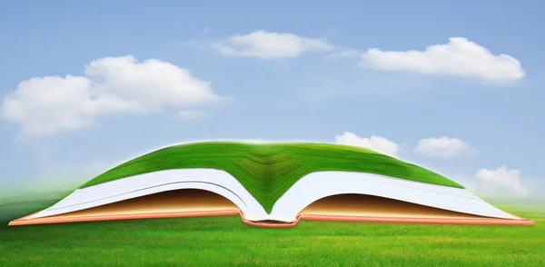 Green grass field on open book — Stock Photo, Image