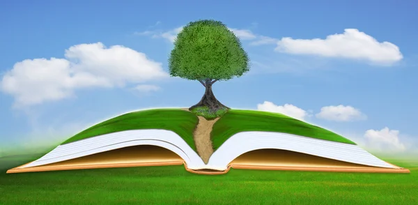 Großer Baum auf offenem Buch mit blauem Himmelshintergrund — Stockfoto