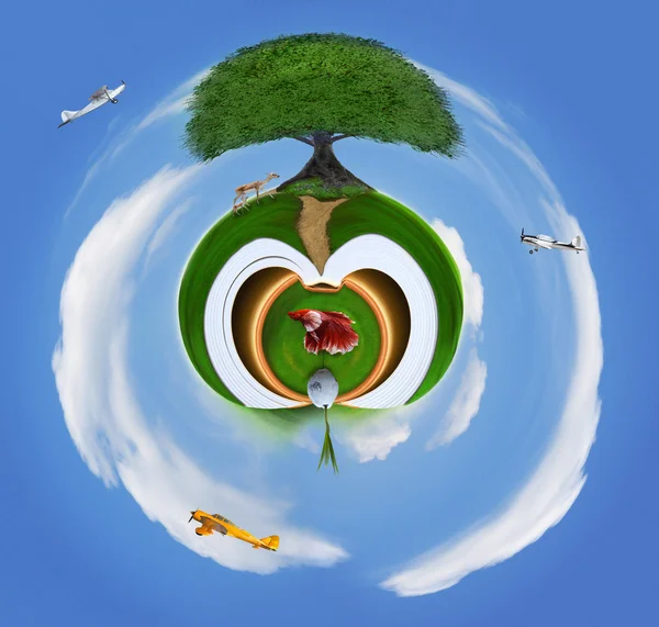 Grote boom op groene veld met lucht vliegtuig vliegen op blauwe hemel voor reizen en vervoer thema — Stockfoto