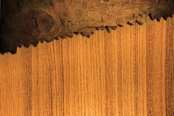 Bark wood use for natural background — Stock Photo, Image