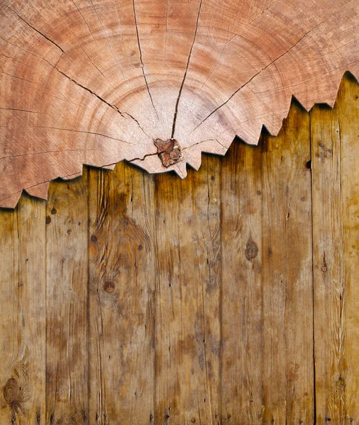 Bark wood pattern — Stock Photo, Image
