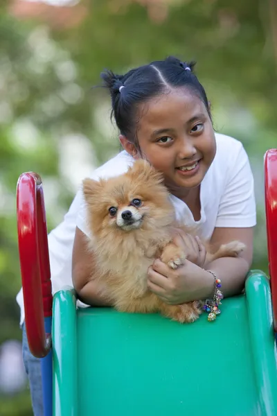 Girl and pomeranian dog in field — Stock Photo, Image