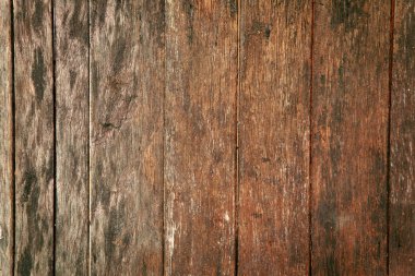 Ağaç kabuğunun doğal arkaplan olarak kullanımı