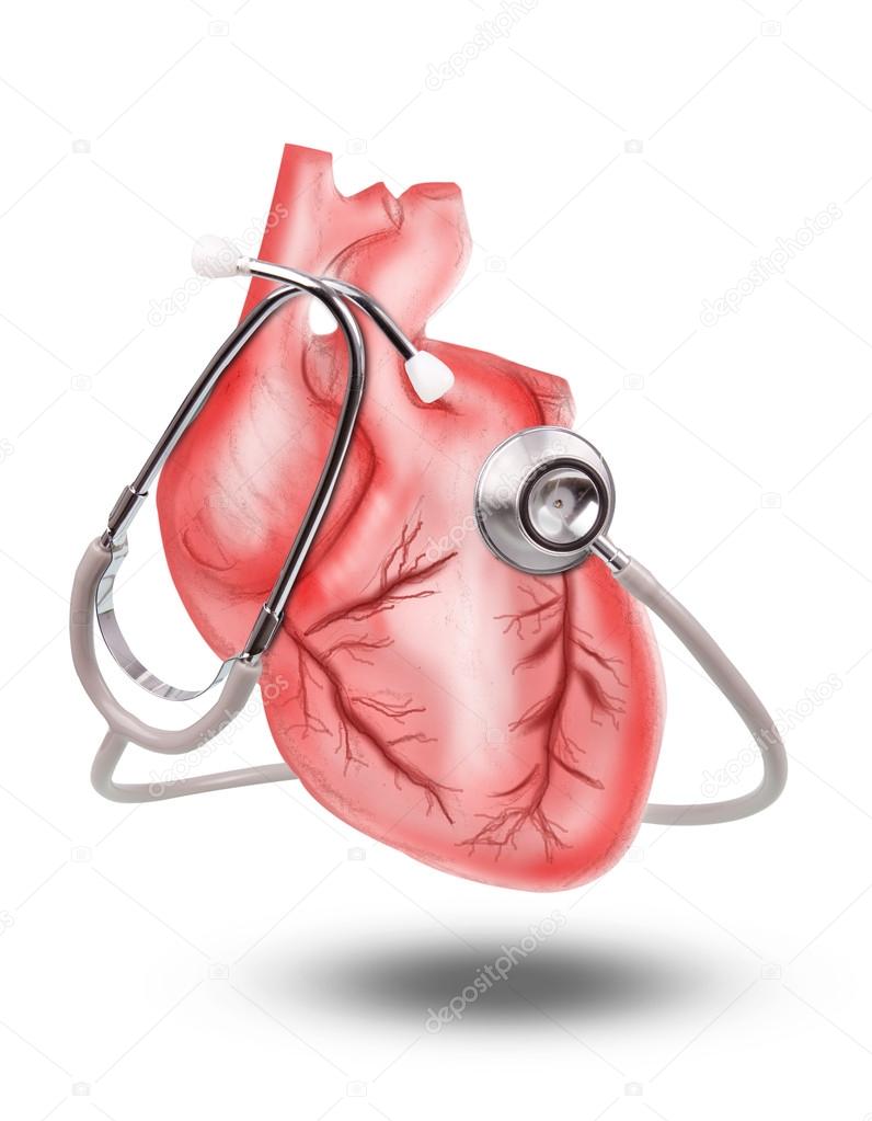 Healthy heart with stethoscope on white background use for hear