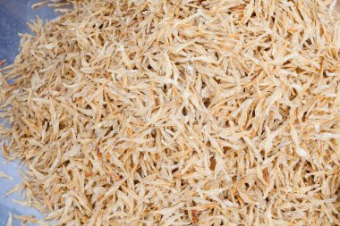 küçük bir kuru balık kalsiyum kemik için tam sağlıklı insan kafatası