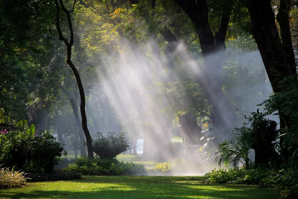 Water sprau amd light in public park — Stock Photo, Image