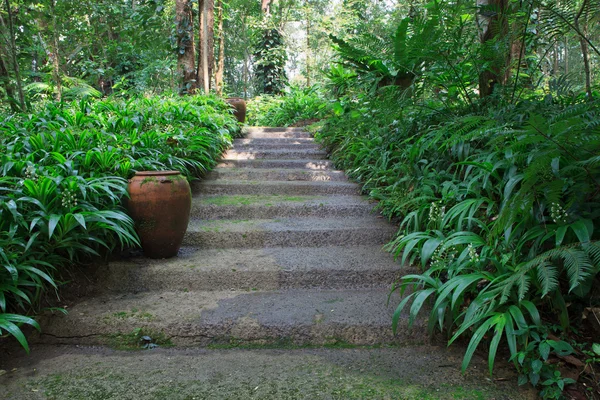 Walking way in green garden — Stock Photo, Image