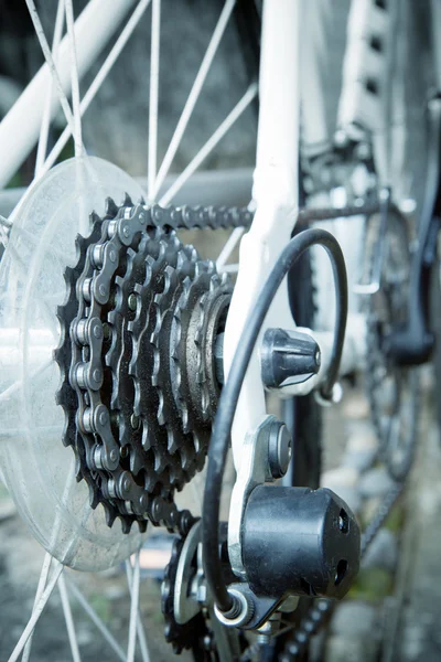 Bisiklet arka dişli zincir — Stok fotoğraf