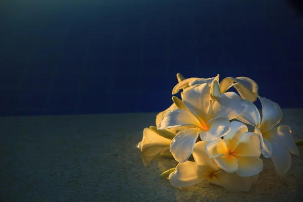 Frangipani fiore con bella luce sulla piscina uso acqua per mul — Foto Stock