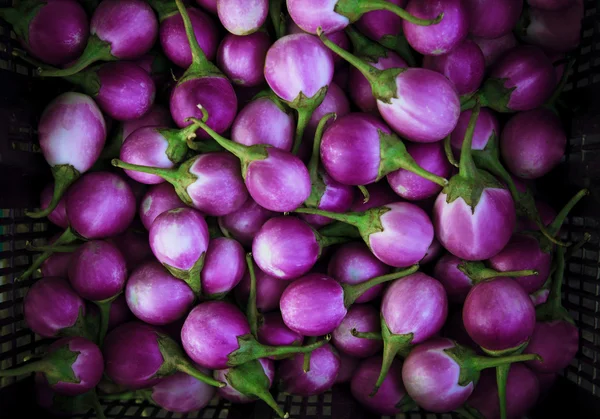 Purple eggplant violet king — Stock Photo, Image