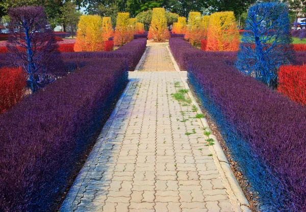 Herbstgarten — Stockfoto