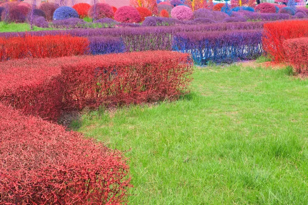 Jardim do Outono — Fotografia de Stock