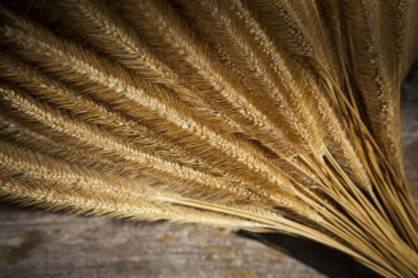 kuru ot tohumu buket yakın çekim