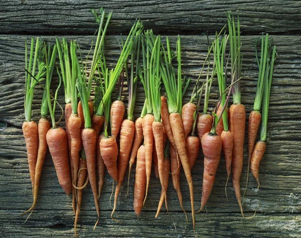 Fresh carrot on wood texture — Stock Photo, Image