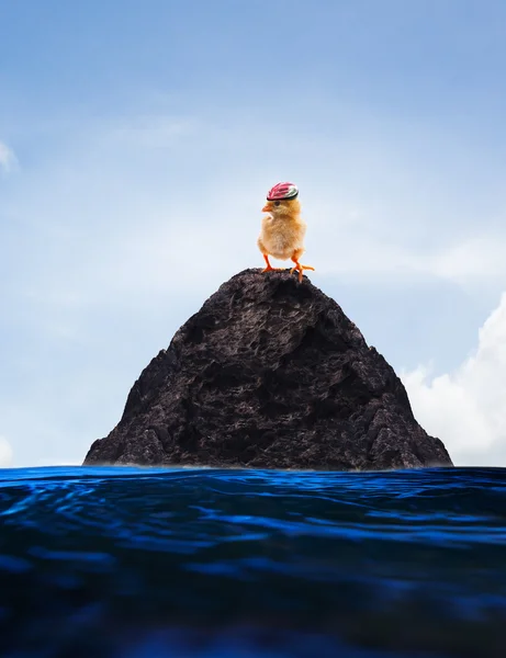 Conceptual unreal of baby chick on lonely island use for multipu — Stock Photo, Image