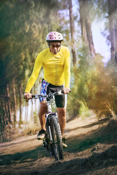 Hombre joven montando bicicleta de montaña mtb en la selva pista de uso para el deporte —  Fotos de Stock