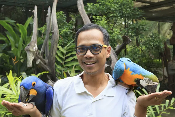 Asian man and hyacine macaw birds