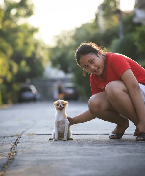 Girl playing with pomeranian puppy dog in home village — Stock Photo, Image