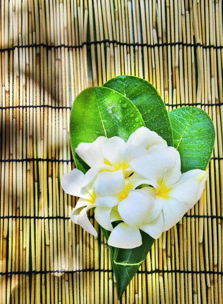 Biały frangipani bukiet kwiatów urządzone w zielonych liści na drewna mat bambusowych z kopia miejsce — Zdjęcie stockowe