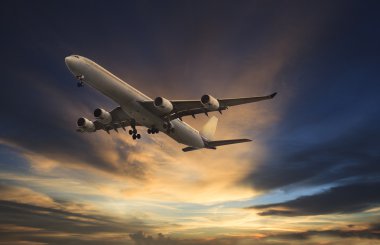 güzel esmer sky üzerinde uçan yolcu uçağı