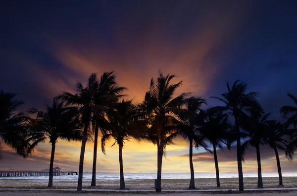 美しい夕暮れの空に silhouete ココナッツ ツリーと薄暗いと — ストック写真