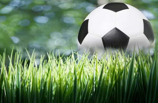 Voetbal voetbal op groen gras als webpagina gebruiken — Stockfoto