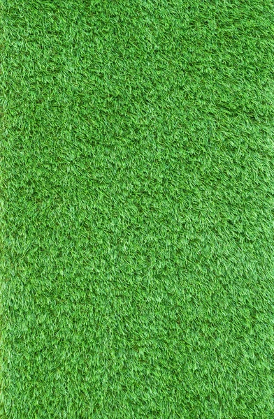 Close up artificial green grass leaves use as nauture and multip — Stock Photo, Image