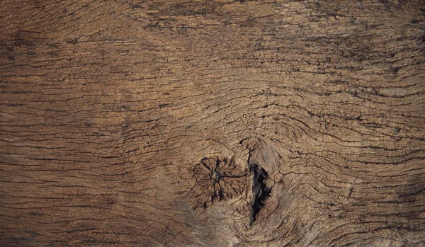 Beautiful close up textured of bark wood use as multipurpose nat — Stock Photo, Image
