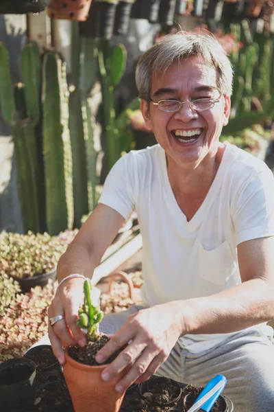 Senior Asian Man Laughing Happiness While Planting Succulent Plant — Stok fotoğraf