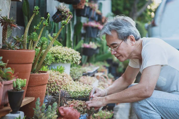 Asian Senior Man Relaxing Home Garden — Zdjęcie stockowe