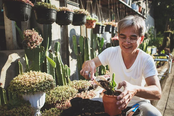 Azji Senior Człowiek Repot Kaktusy Szczeniak Domu Ogród — Zdjęcie stockowe