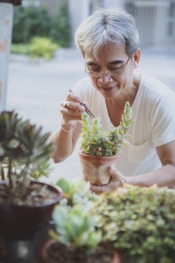 Asyalı kıdemli adam ev bahçesindeki sulu bitkilerle ilgileniyor.
