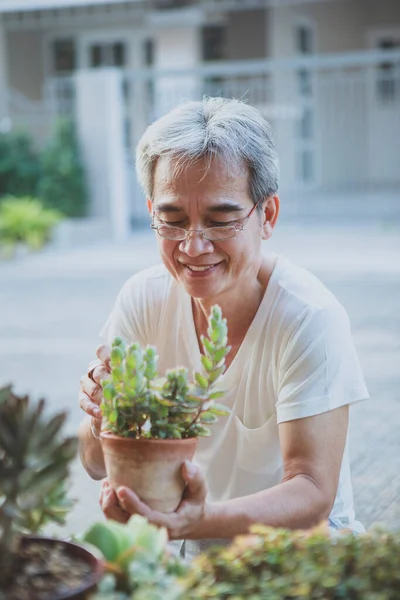 Azji Senior Człowiek Dbanie Dla Soczysty Roślin Domu Ogród — Zdjęcie stockowe