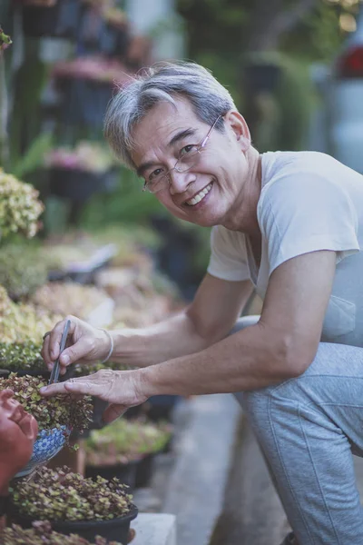 Asyalı Dişlek Mutluluktan Gülümsüyor Bahçesindeki Bitkilerle Ilgileniyor — Stok fotoğraf