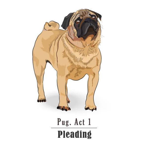 Isolated Pug Dog Pleading Expression Colourful Vector Illustration Pug Looking —  Vetores de Stock