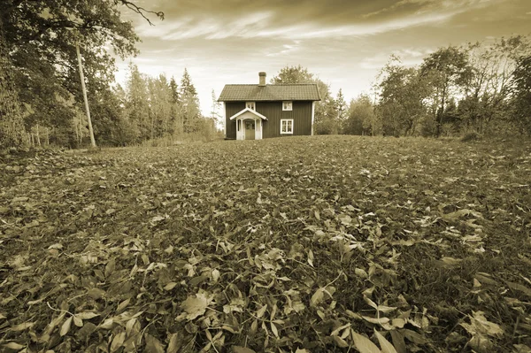 Weinig cottage en herfst bladeren, sepia — Stockfoto