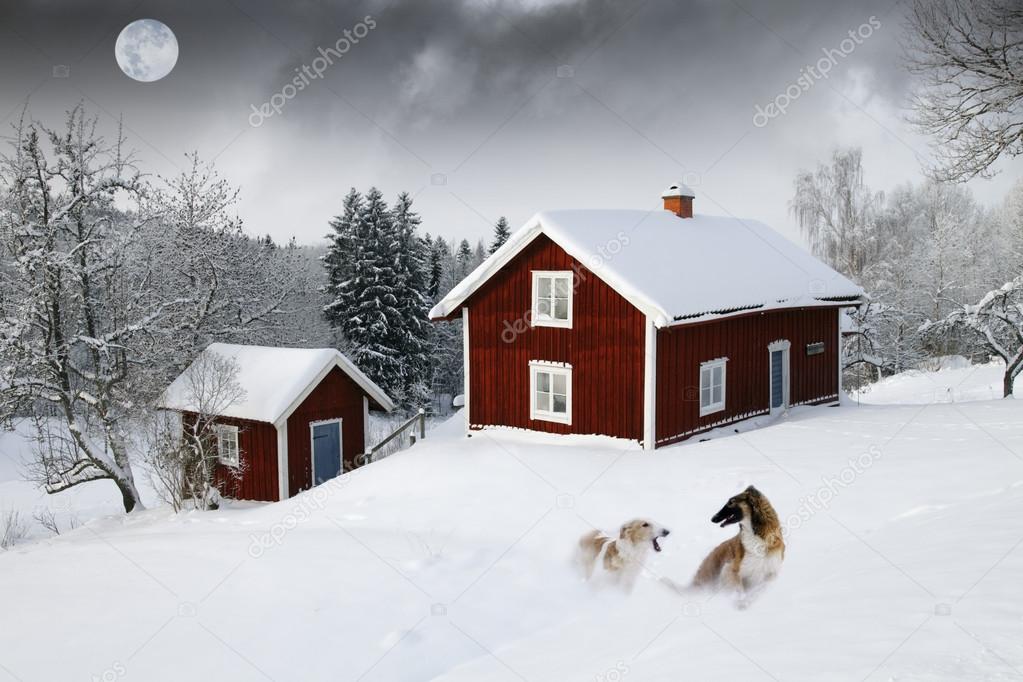 Old red cottages, winter landscape