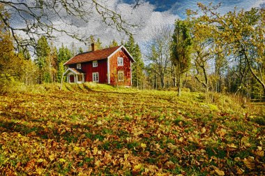 Bahar yeşil alanlarda küçük kırmızı çiftlikleri
