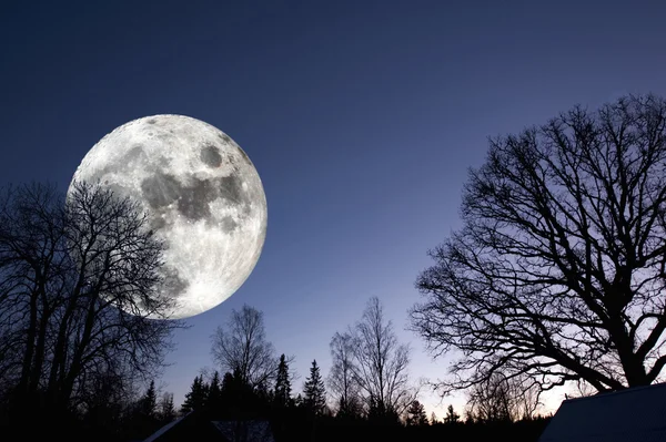 Luna llena surrealista gigante sobre bosque oscuro — Foto de Stock