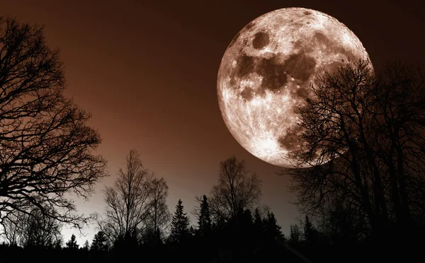 Luna roja se eleva sobre paisaje — Foto de Stock