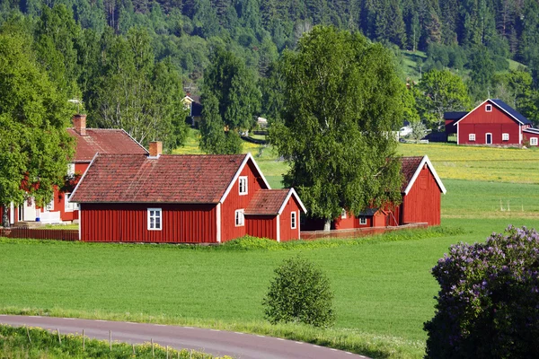 Малі червоні ферми на весняно-зелених полях — стокове фото