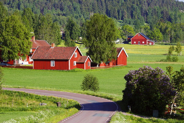 Small red farms in springtime green fields