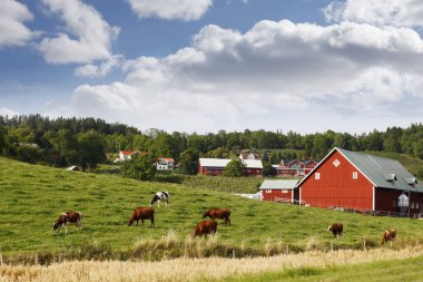 Small red farm houses clipart