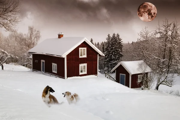 Casas rojas en bosque de nieve bajo luna llena — Foto de Stock