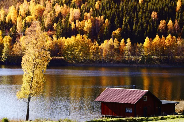 Herfst landschap weerspiegeld in zee gekleurde — Stockfoto