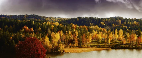Autumn colored landscape in sweden — Stock Photo, Image
