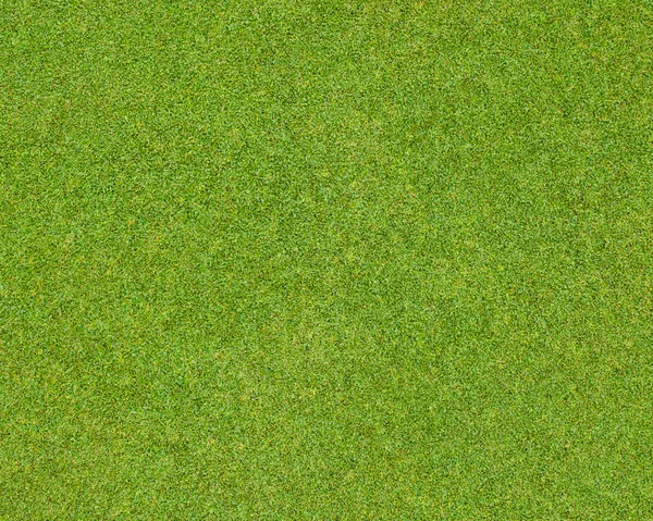 Yeşil çim desen — Stok fotoğraf