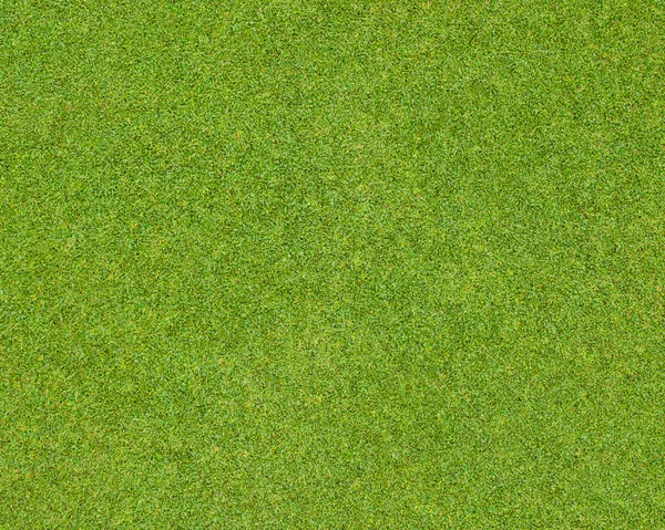 Green grass pattern — Stock Photo, Image