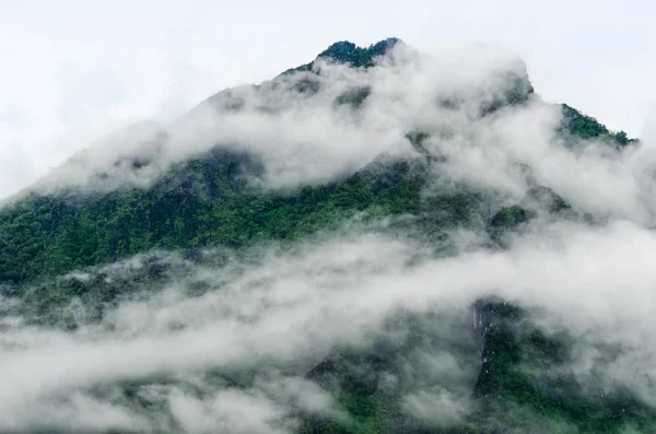 Mountain and fog at sunrise — Stock Photo, Image