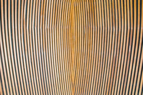 Ceiling wood — Stock Photo, Image